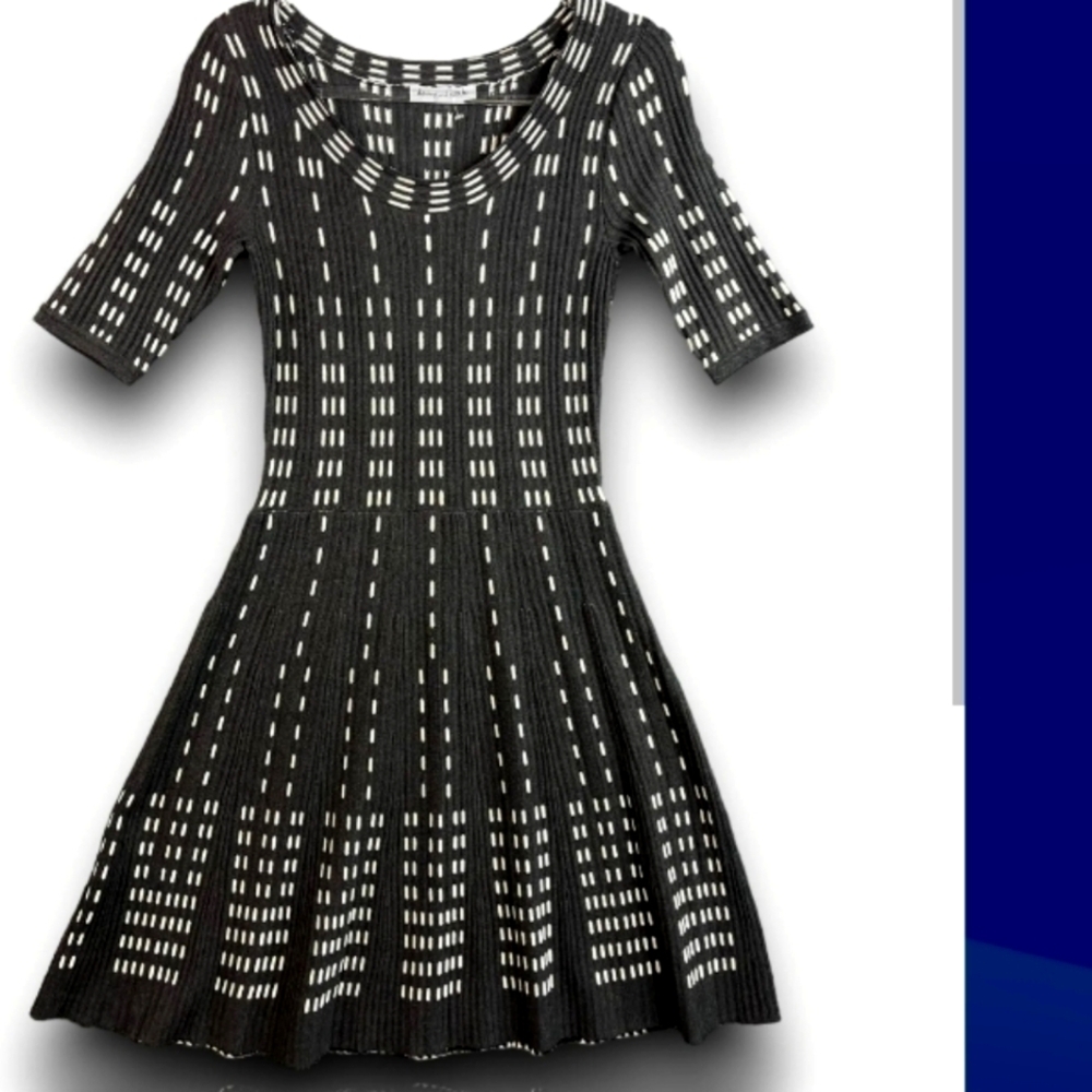 Danny & Nicole (Size M) Black & Cream Fit & Flare Half Sleeve Knit Sweater Dress